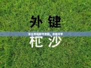 法兰克福防守坚固，击败对手