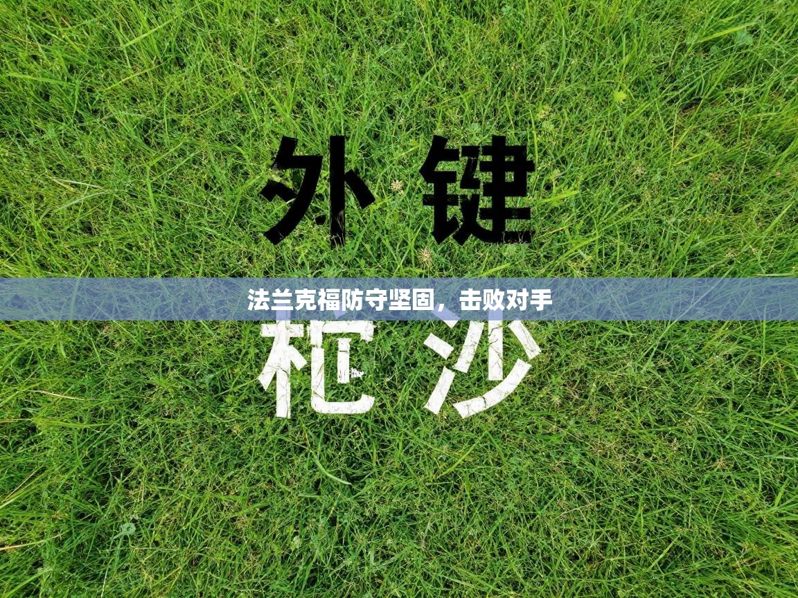 法兰克福防守坚固，击败对手  第1张